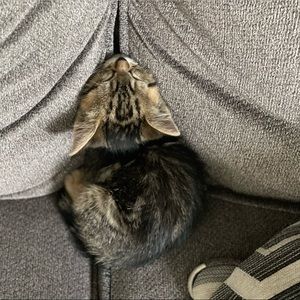 Meet your Posher, Jonathan